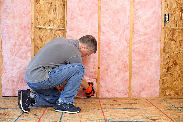 Best Specialized Insulation Services in Cordova, AK