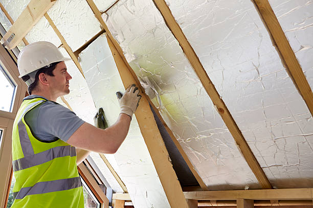 Best Insulation Maintenance and Repair in Cordova, AK