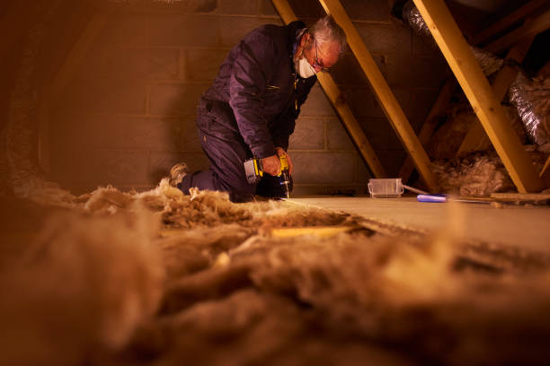 Best Fiberglass Insulation in Cordova, AK