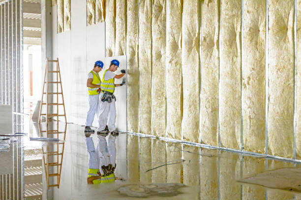 Best Eco-Friendly Insulation in Cordova, AK